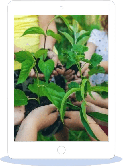 Exploring Sustainability Pathways for Students blog post thumbnail